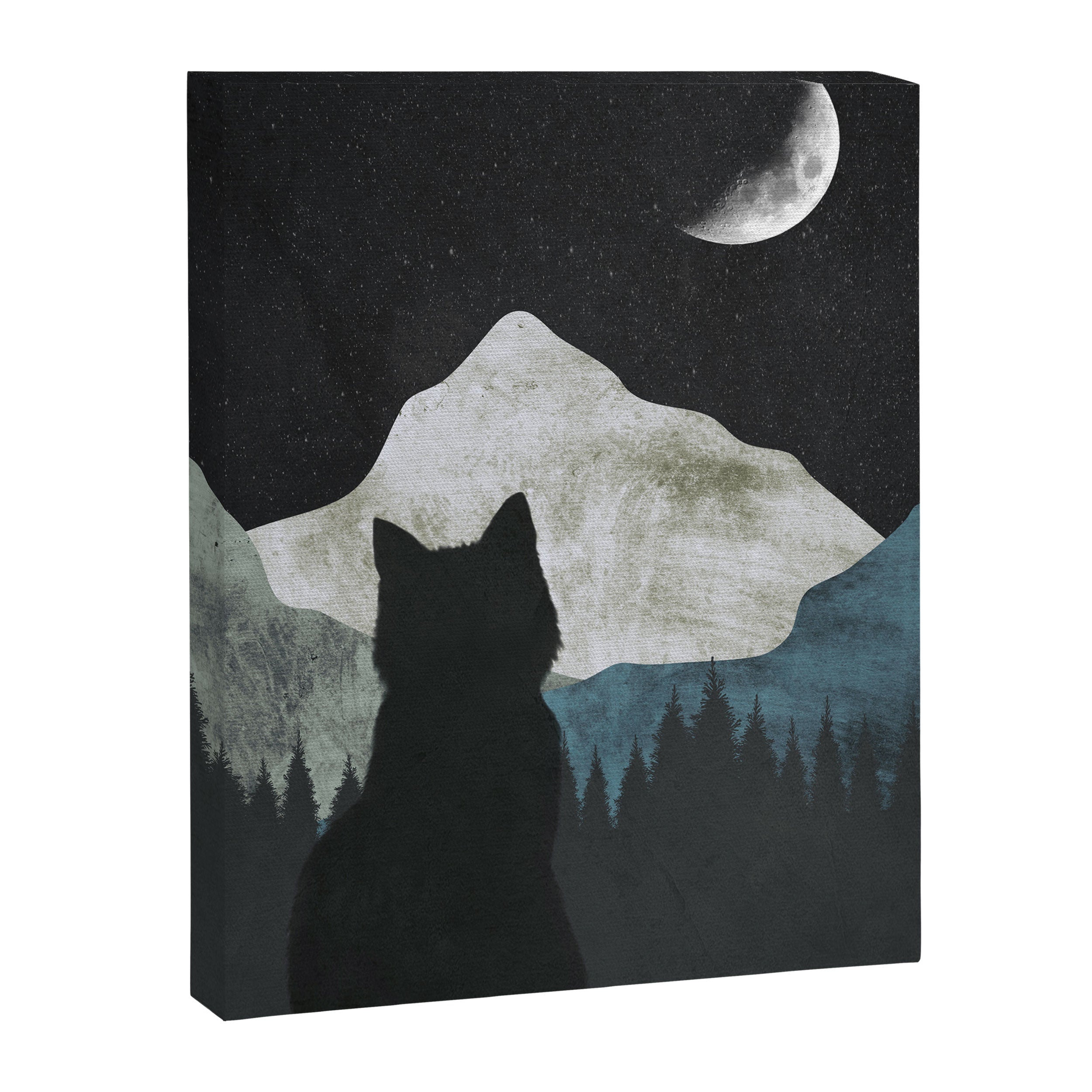 Black Cat 2 Canvas Print Gallery Image 6
