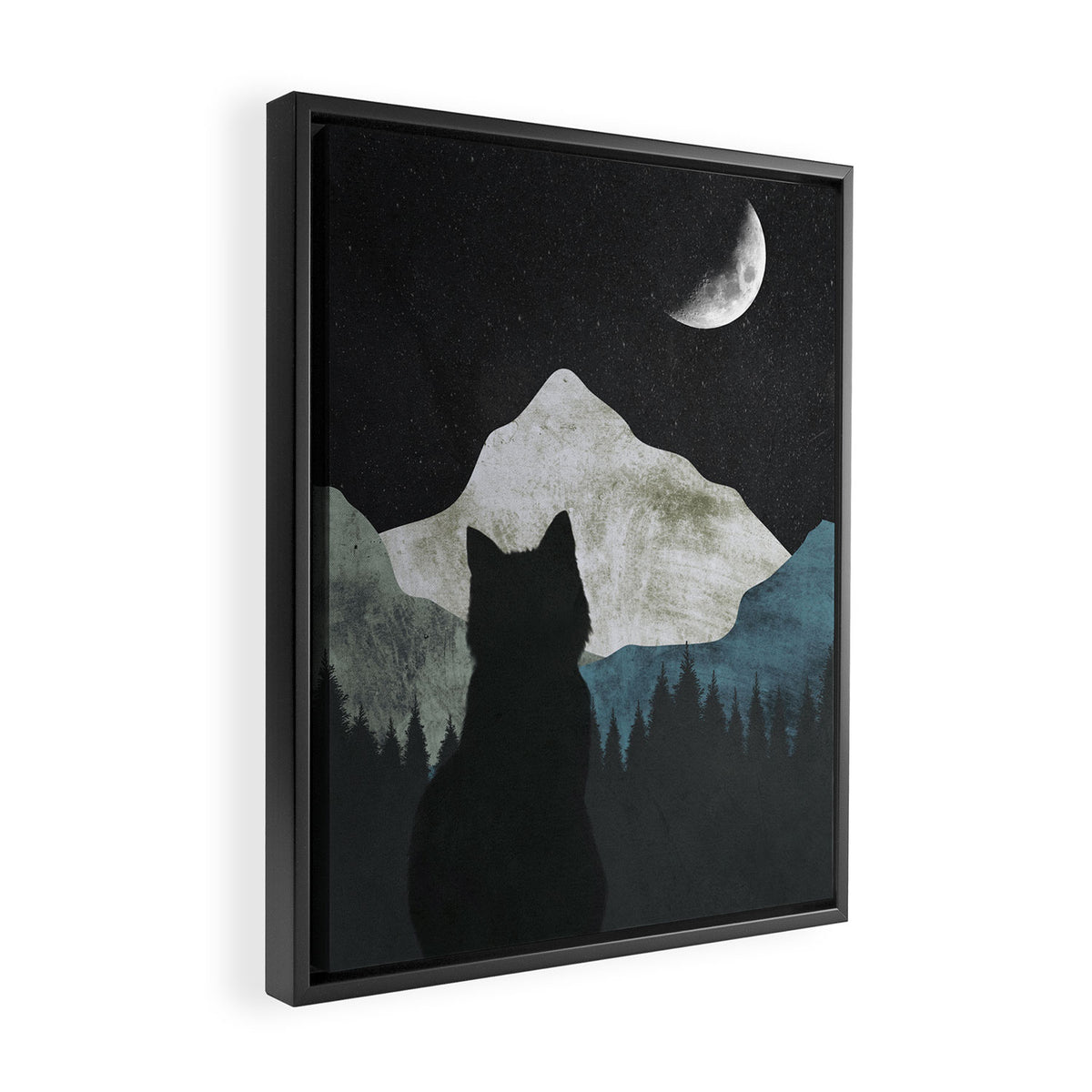 Black Cat 2 Framed Canvas Print Gallery Image 2