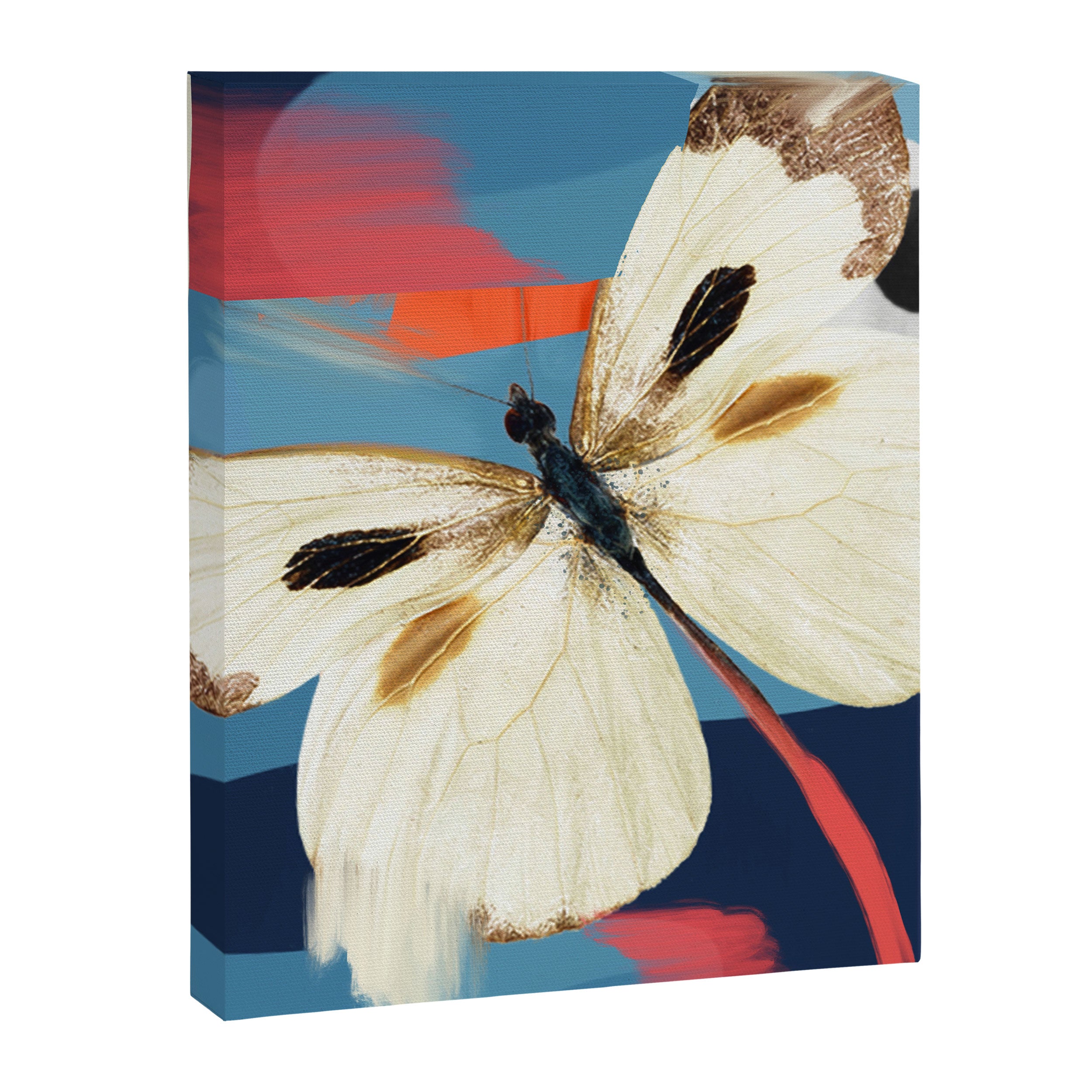 Butterfly 2 Canvas Print Gallery Image 6