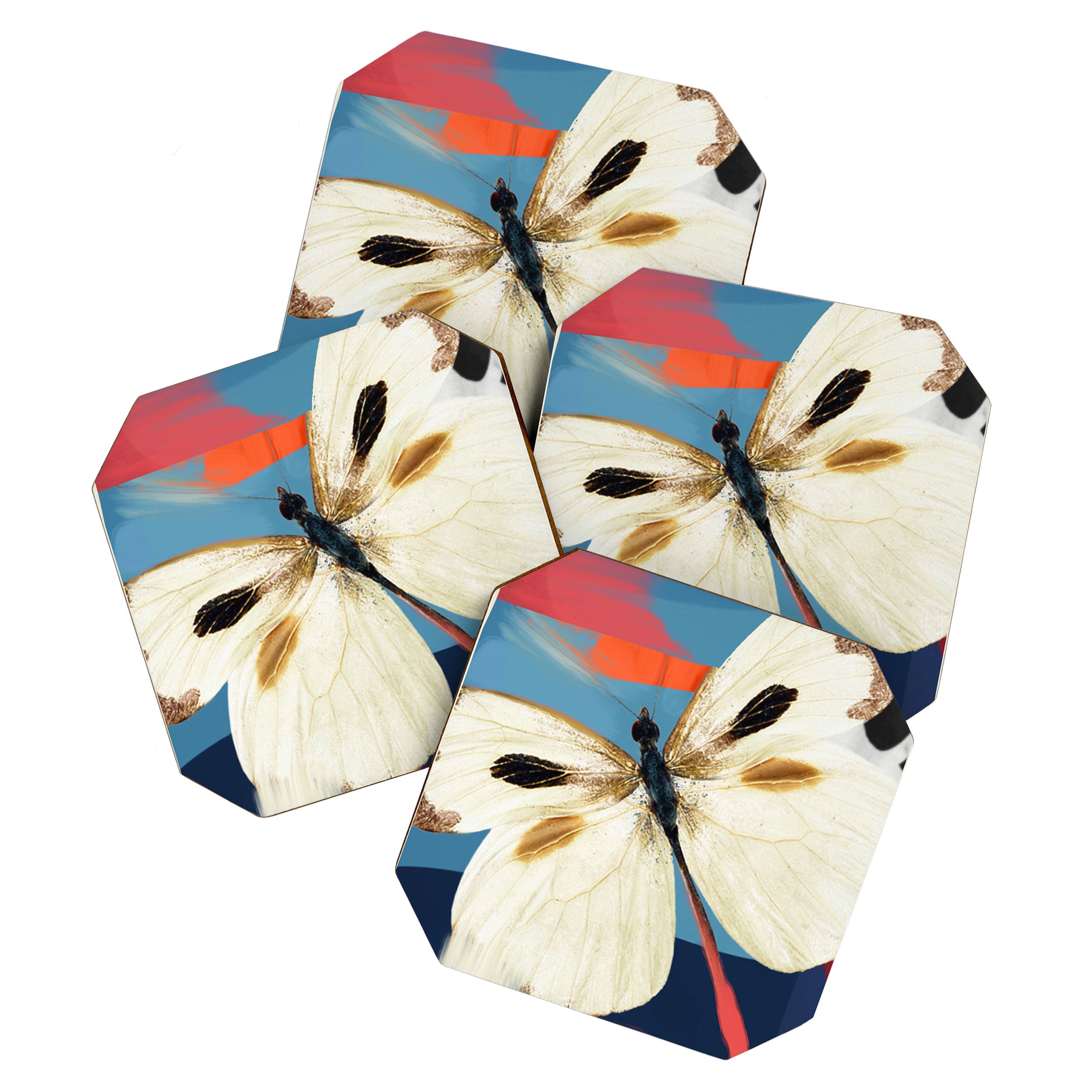 Butterfly 2 Coaster Gallery Image 1
