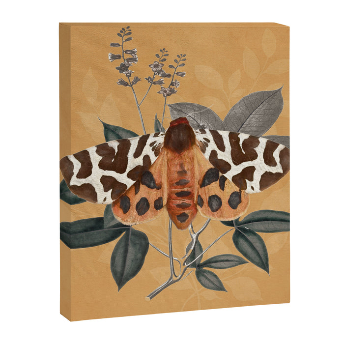 Butterfly 22 Canvas Print Gallery Image 1