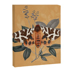 Butterfly 22 Canvas Print Gallery Image 8