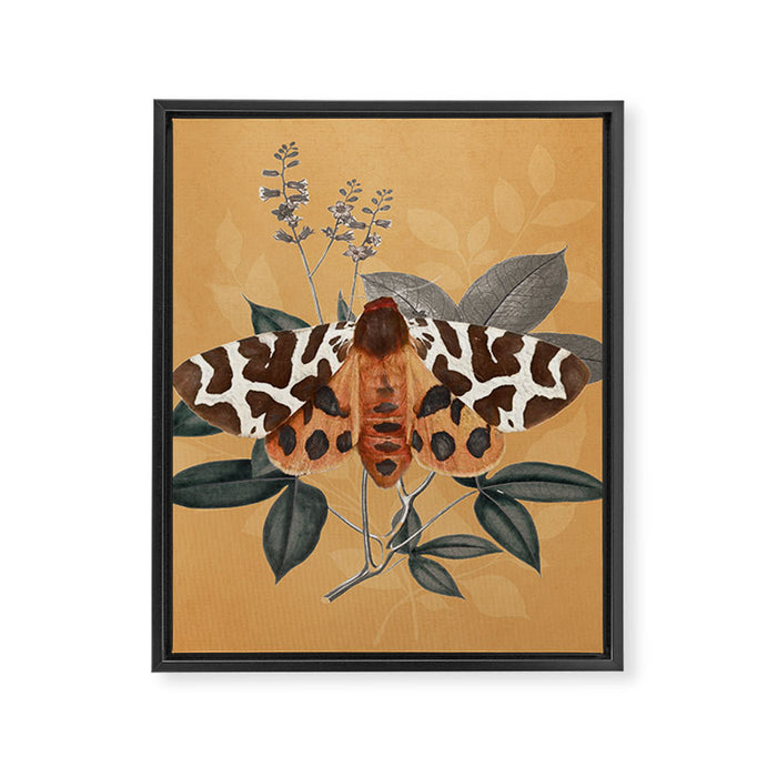 Butterfly 22 Framed Canvas Print Gallery Image 1