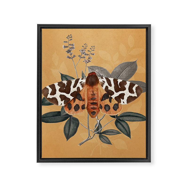 Butterfly 22 Framed Canvas Print Gallery Image 8
