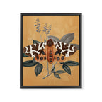 Butterfly 22 Framed Canvas Print Gallery Image 8