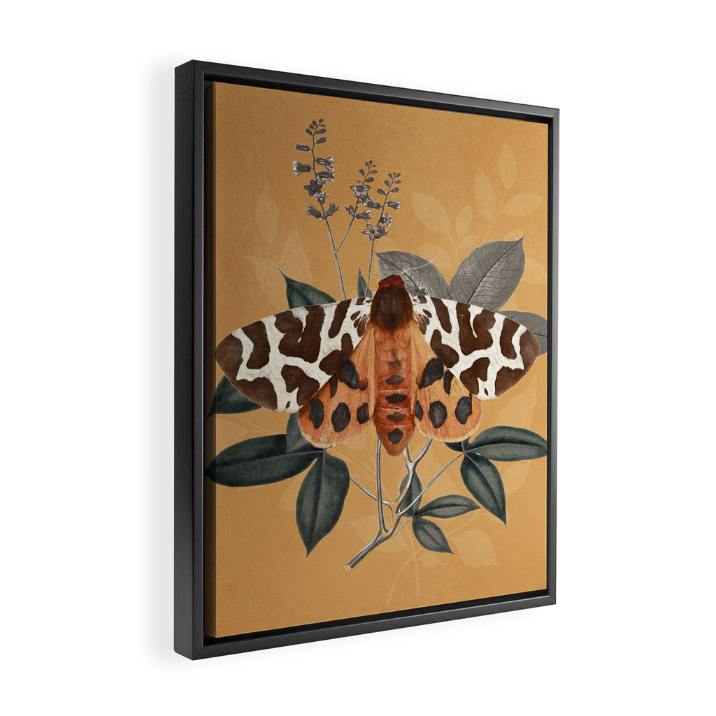 Butterfly 22 Framed Canvas Print Gallery Image 2