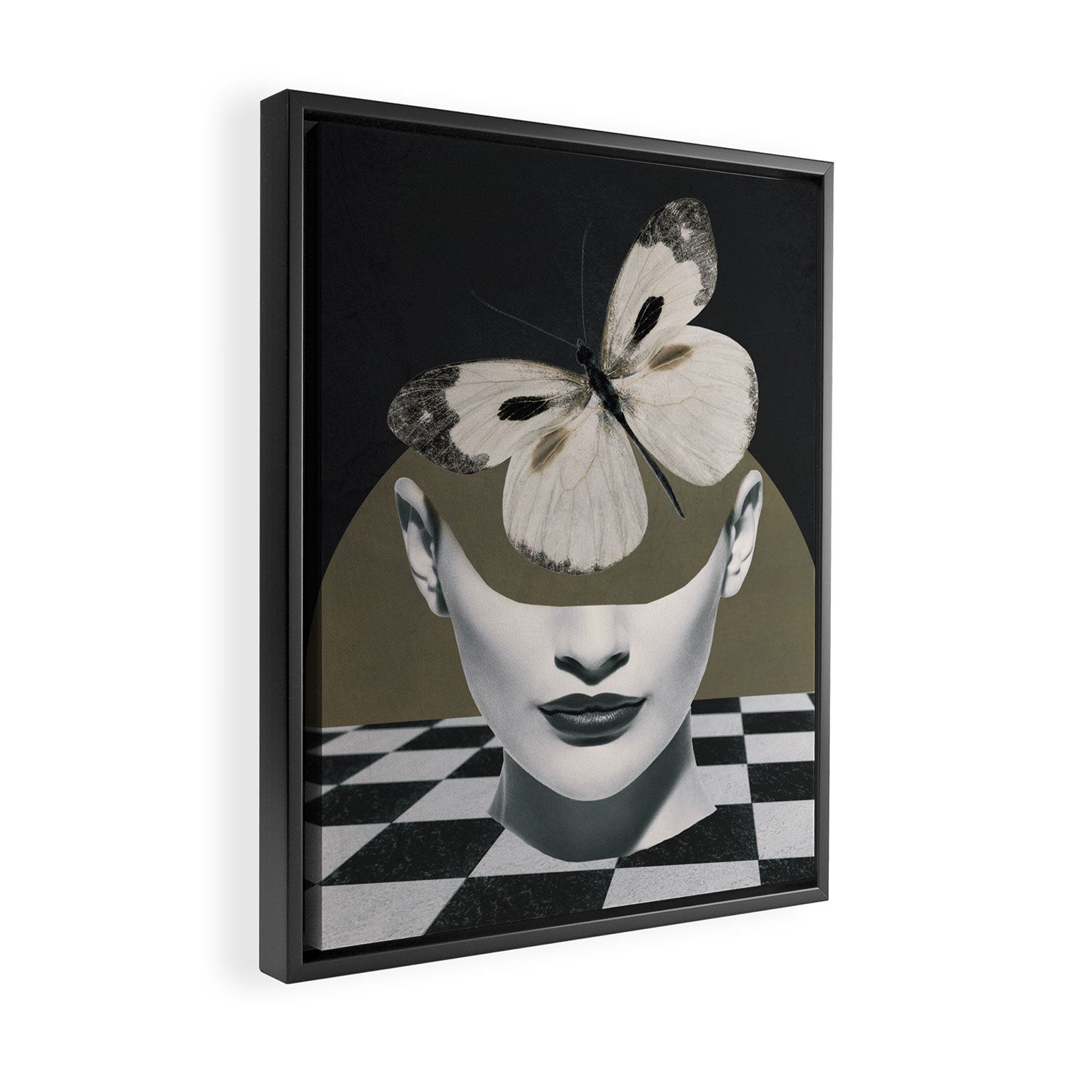 BUTTERFLY Framed Canvas Print Gallery Image 2