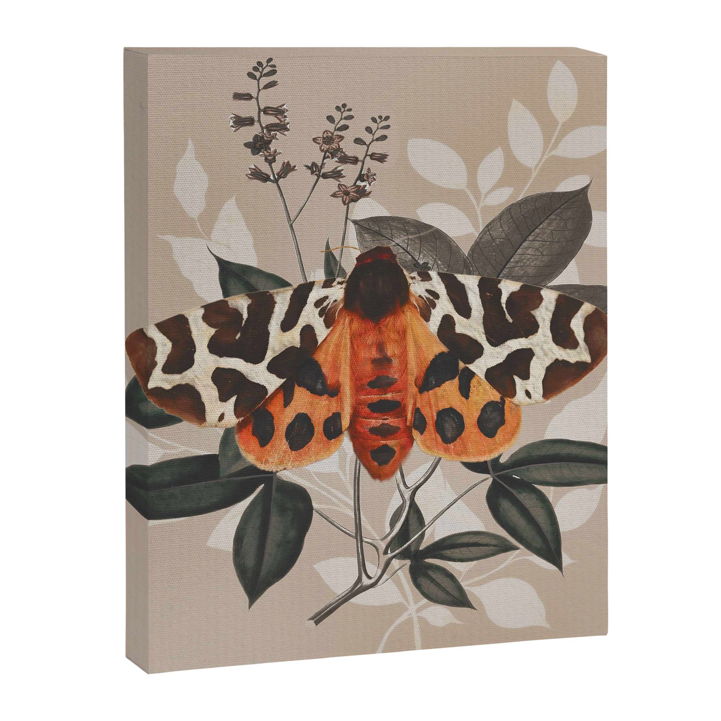 Butterfly  Canvas Print Gallery Image 3