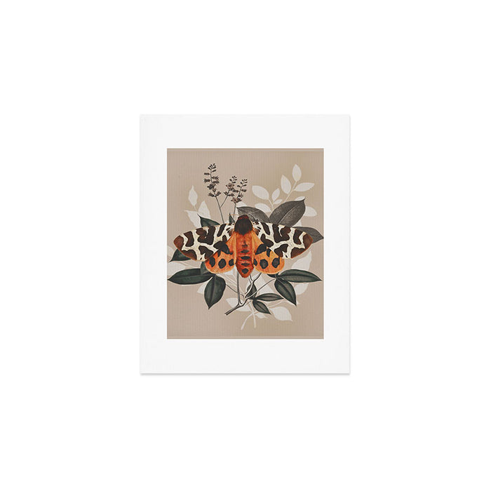 Butterfly  Art Print Gallery Image 1