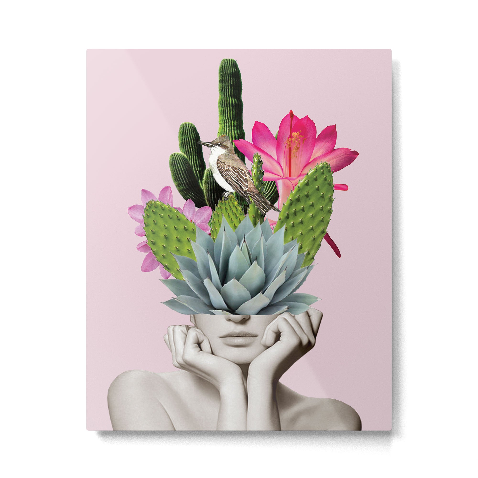 Cactus Lady Metal Print Gallery Image 4