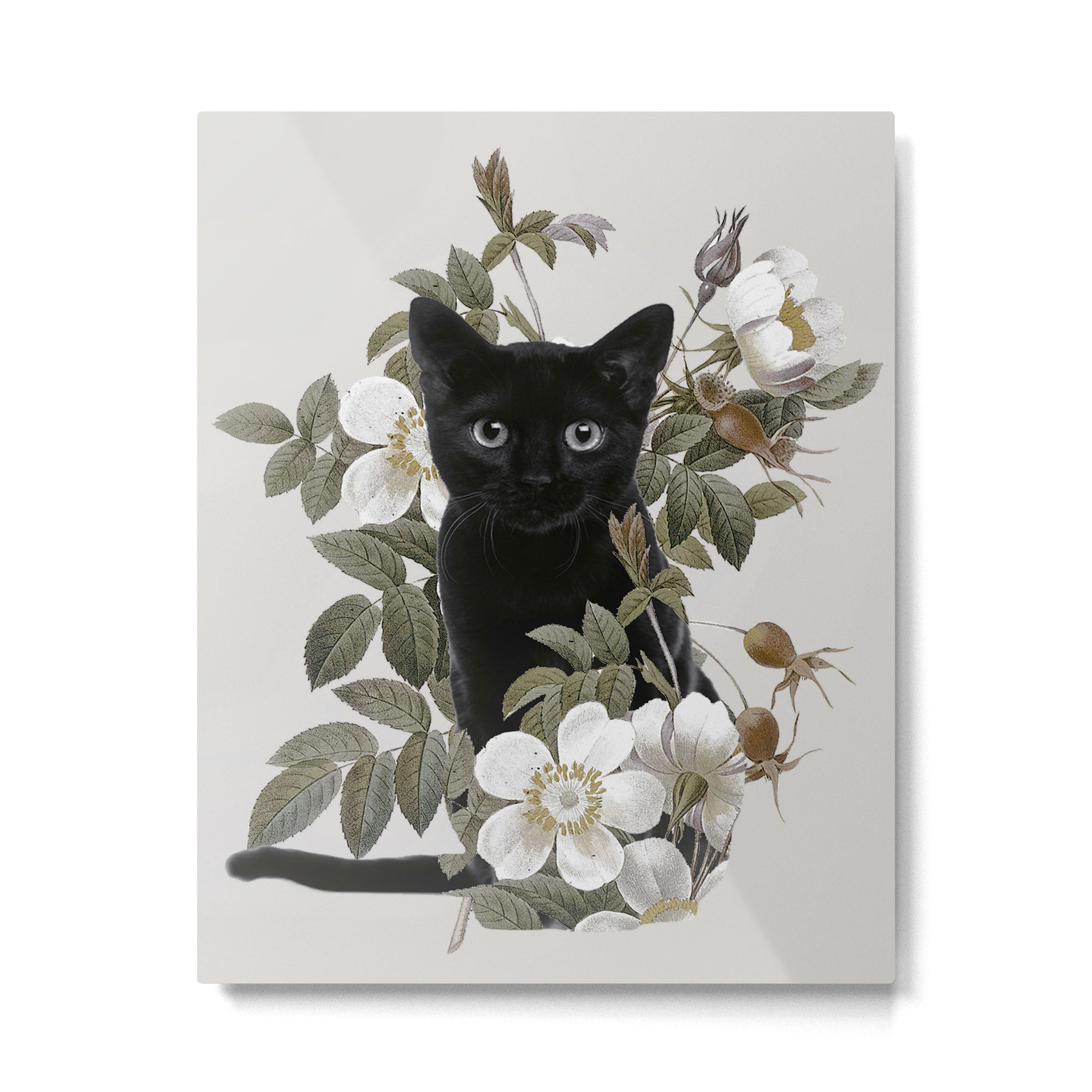 Cat With Flowers Metal Print Gallery Image 6