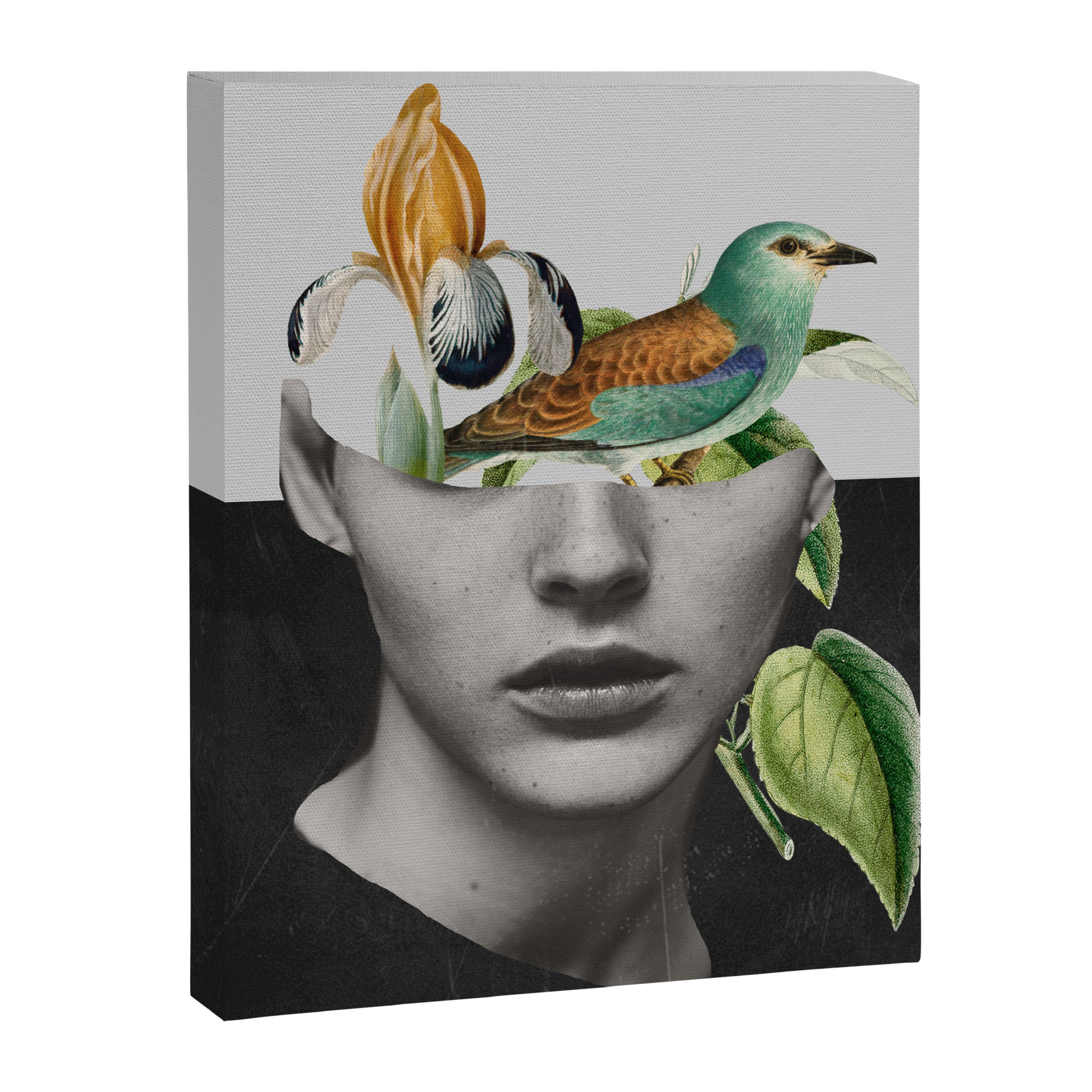 collage art / bird 2 Canvas Print Gallery Image 6