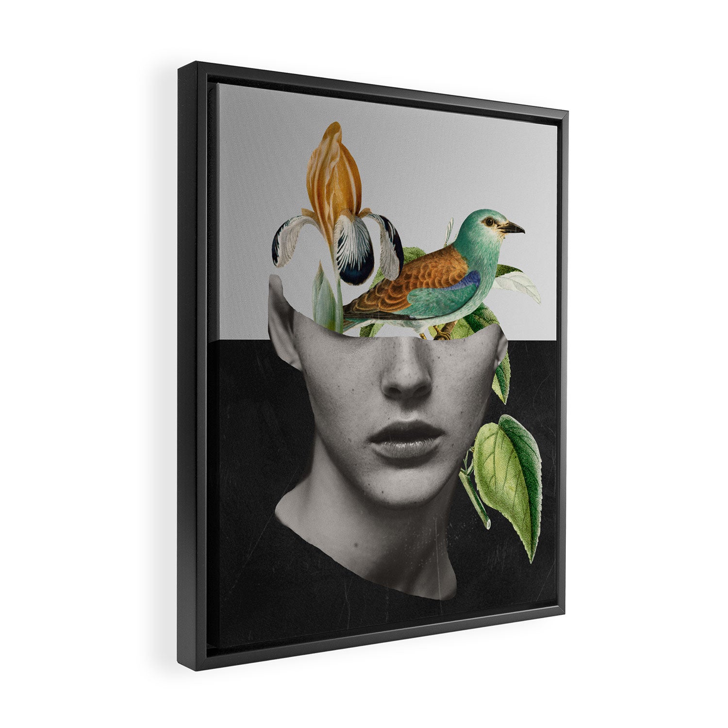 collage art / bird 2 Framed Canvas Print Gallery Image 2