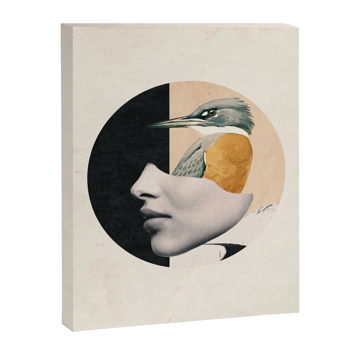 collage art / bird Canvas Print Gallery Image 6