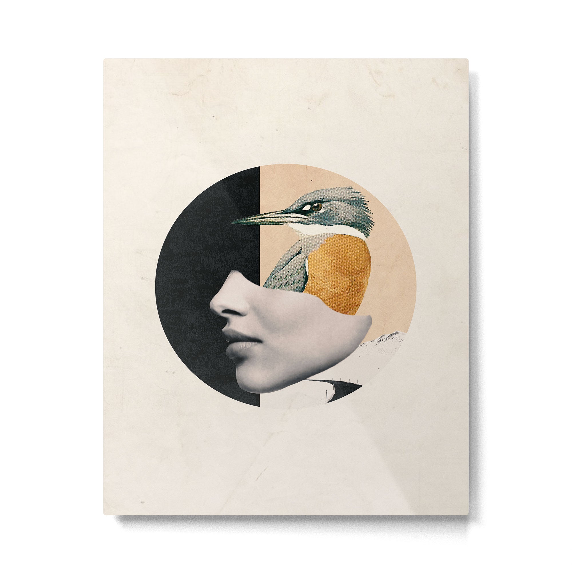 collage art / bird Metal Print Gallery Image 4