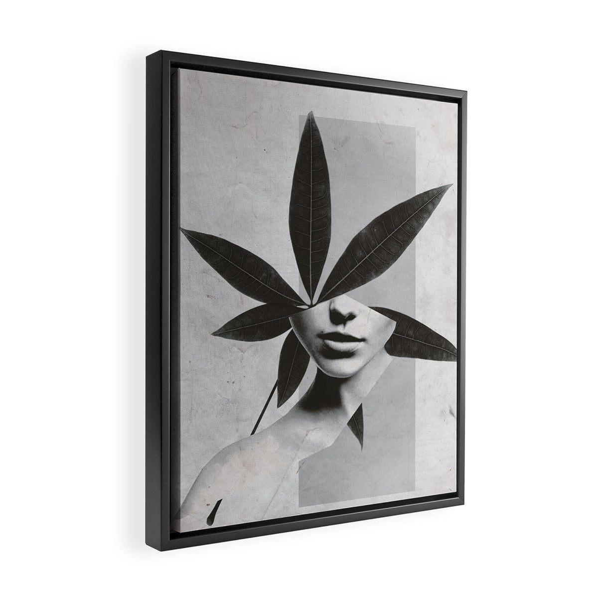 collage art / calmness  2 Framed Canvas Print Gallery Image 2