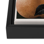 collage art/Still Life Framed Canvas Print Gallery Image 3