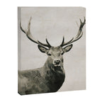 DEER Canvas Print Gallery Image 6