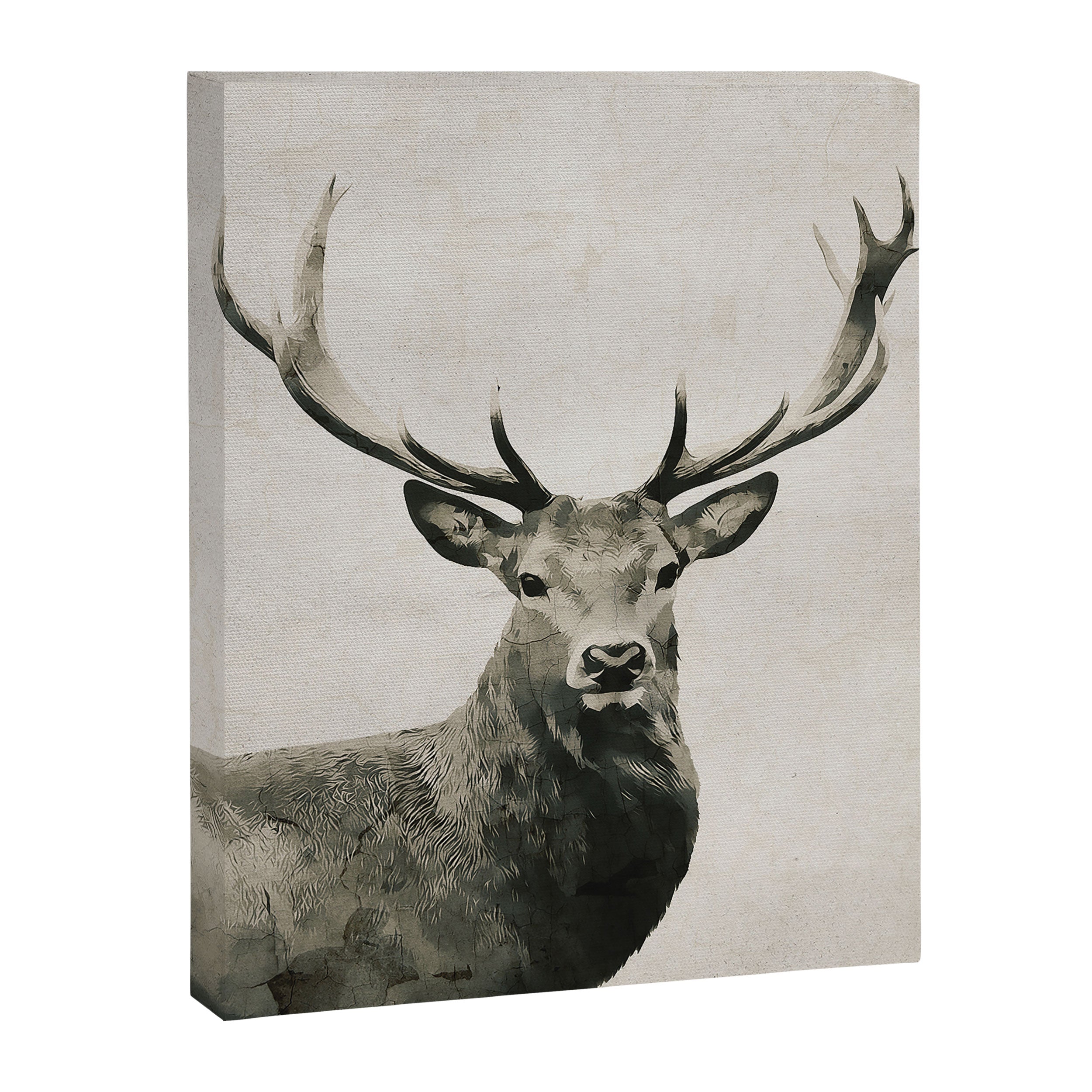 DEER Canvas Print Gallery Image 6