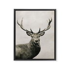 DEER Framed Canvas Print Gallery Image 6