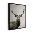 DEER Framed Canvas Print Gallery Image 2