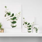Eucalyptus Canvas Print Gallery Image 3