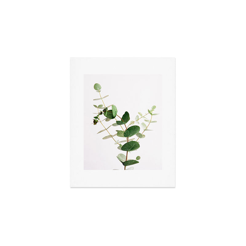 Eucalyptus Art Print Gallery Image 1