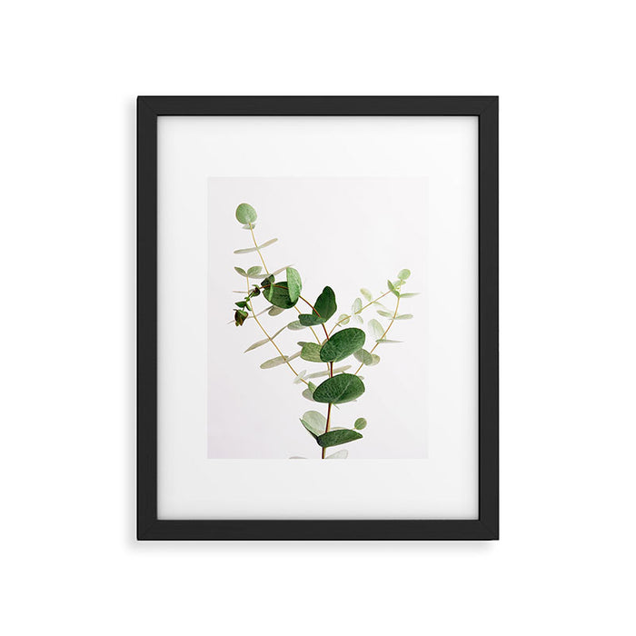 Eucalyptus Framed Art Print Gallery Image 1