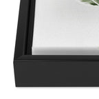 Ficus  Framed Canvas Print Gallery Image 3