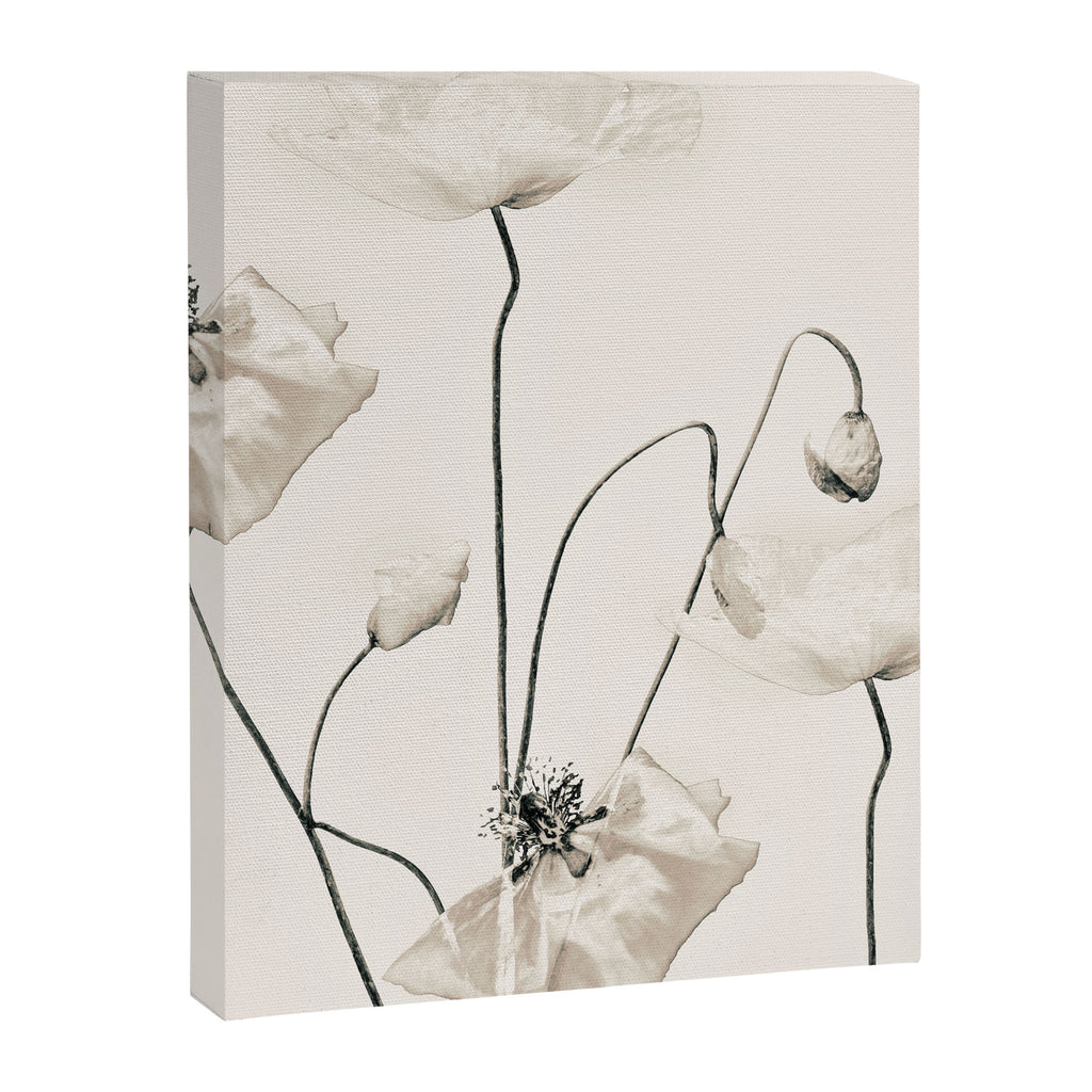 Flowers 20 Canvas Print Gallery Image 6