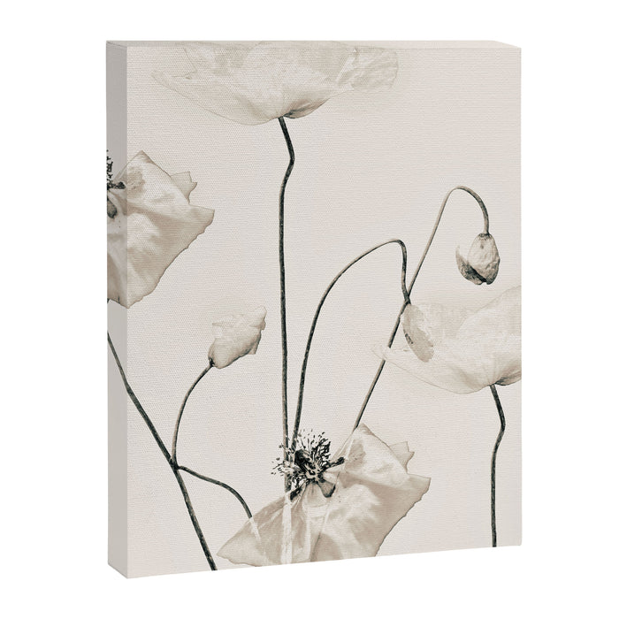 Flowers 20 Canvas Print Gallery Image 1