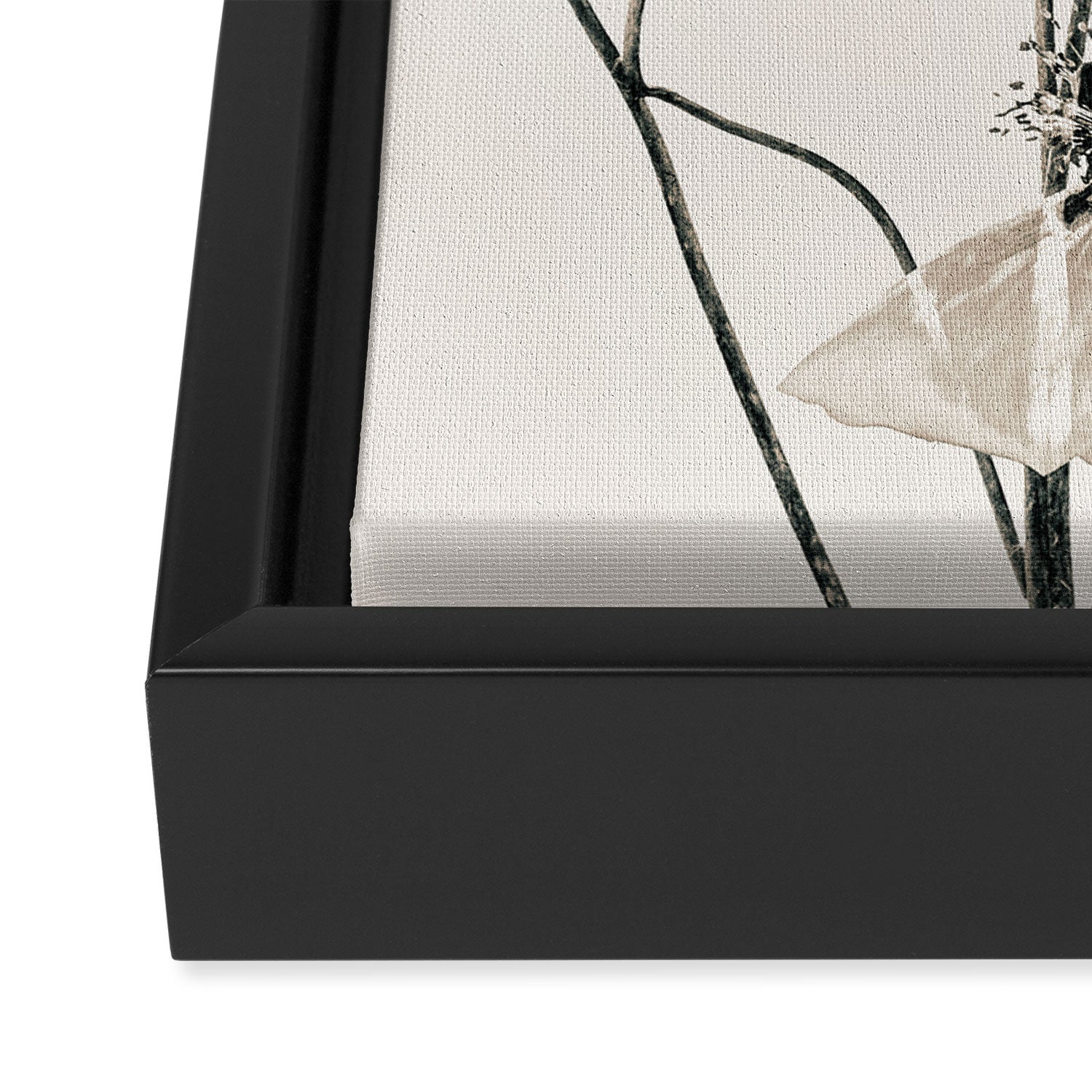Flowers 20 Framed Canvas Print Gallery Image 3