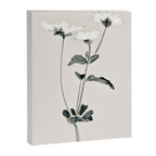 Flowers 21 Canvas Print Gallery Image 6