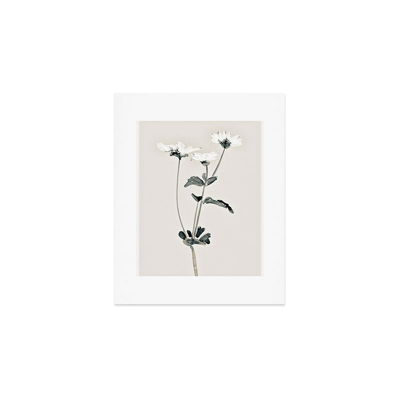 Flowers 21 Art Print Gallery Image 1