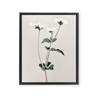 Flowers 21 Framed Canvas Print Gallery Image 6