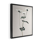 Flowers 21 Framed Canvas Print Gallery Image 2