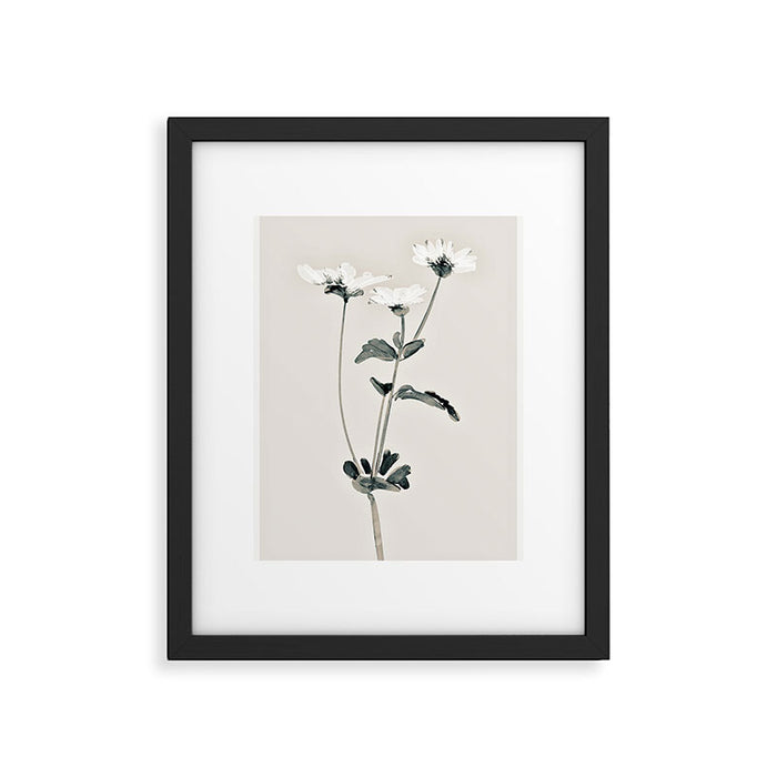 Flowers 21 Framed Art Print Gallery Image 1