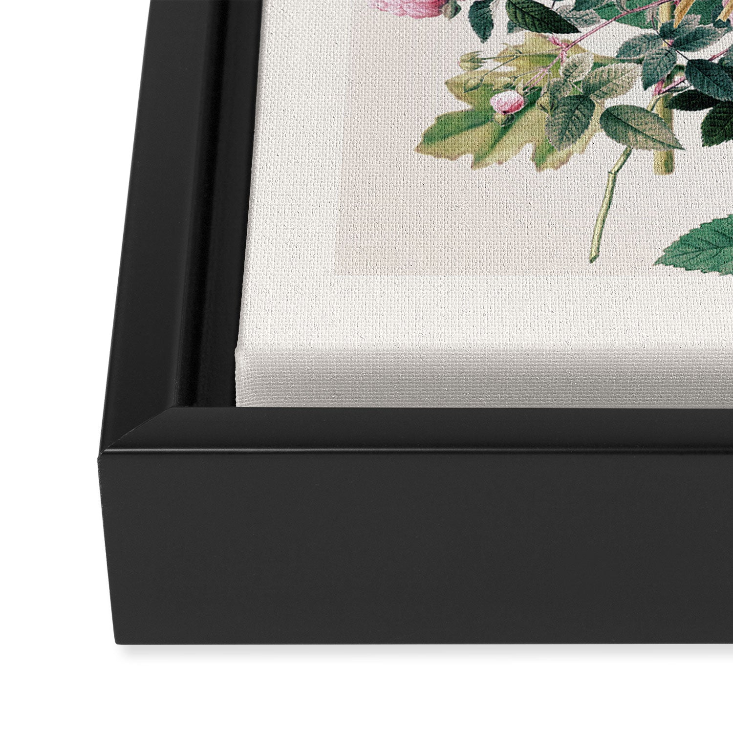 Garden Flowers 11 Framed Canvas Print Gallery Image 3