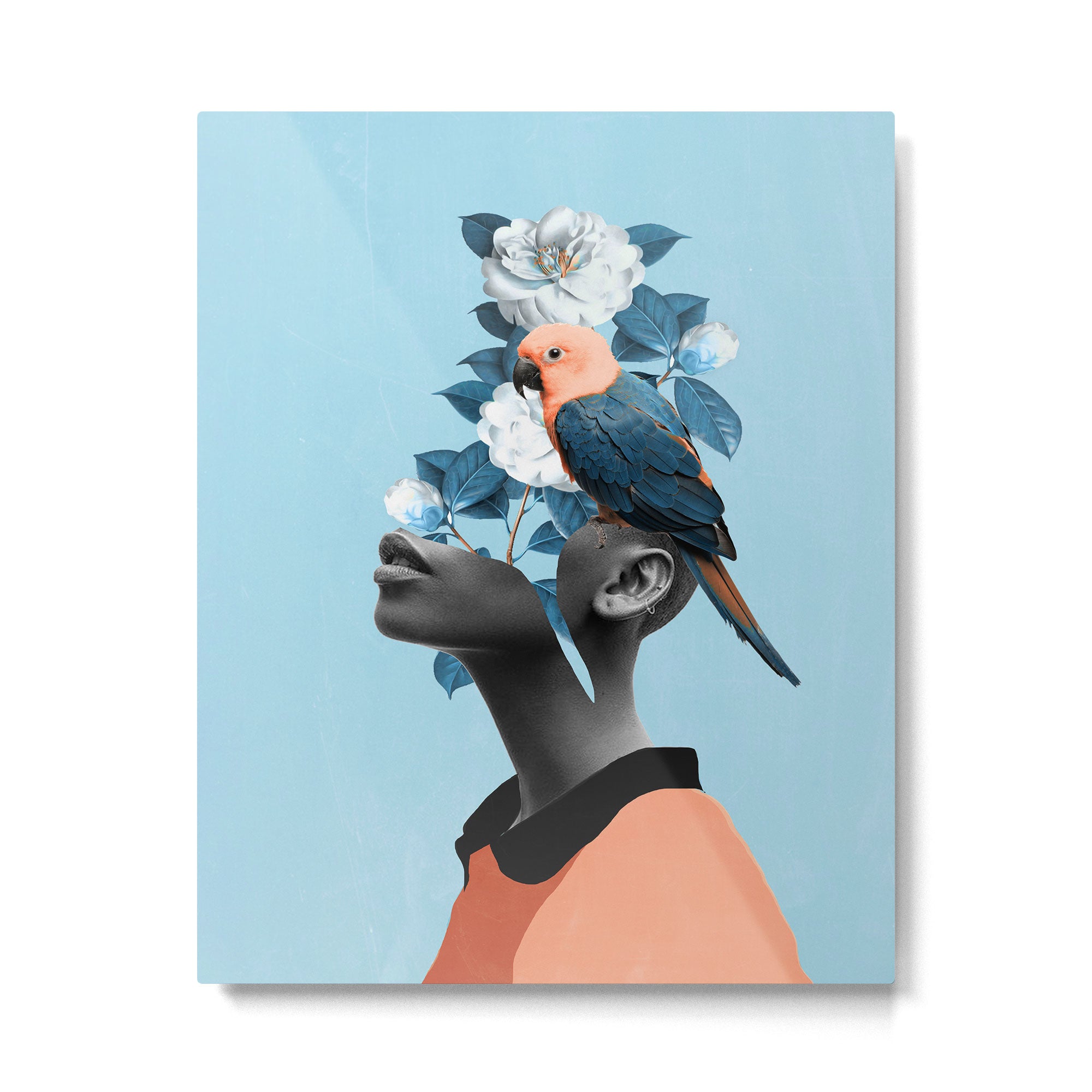 Girl with parrot Metal Print Gallery Image 4