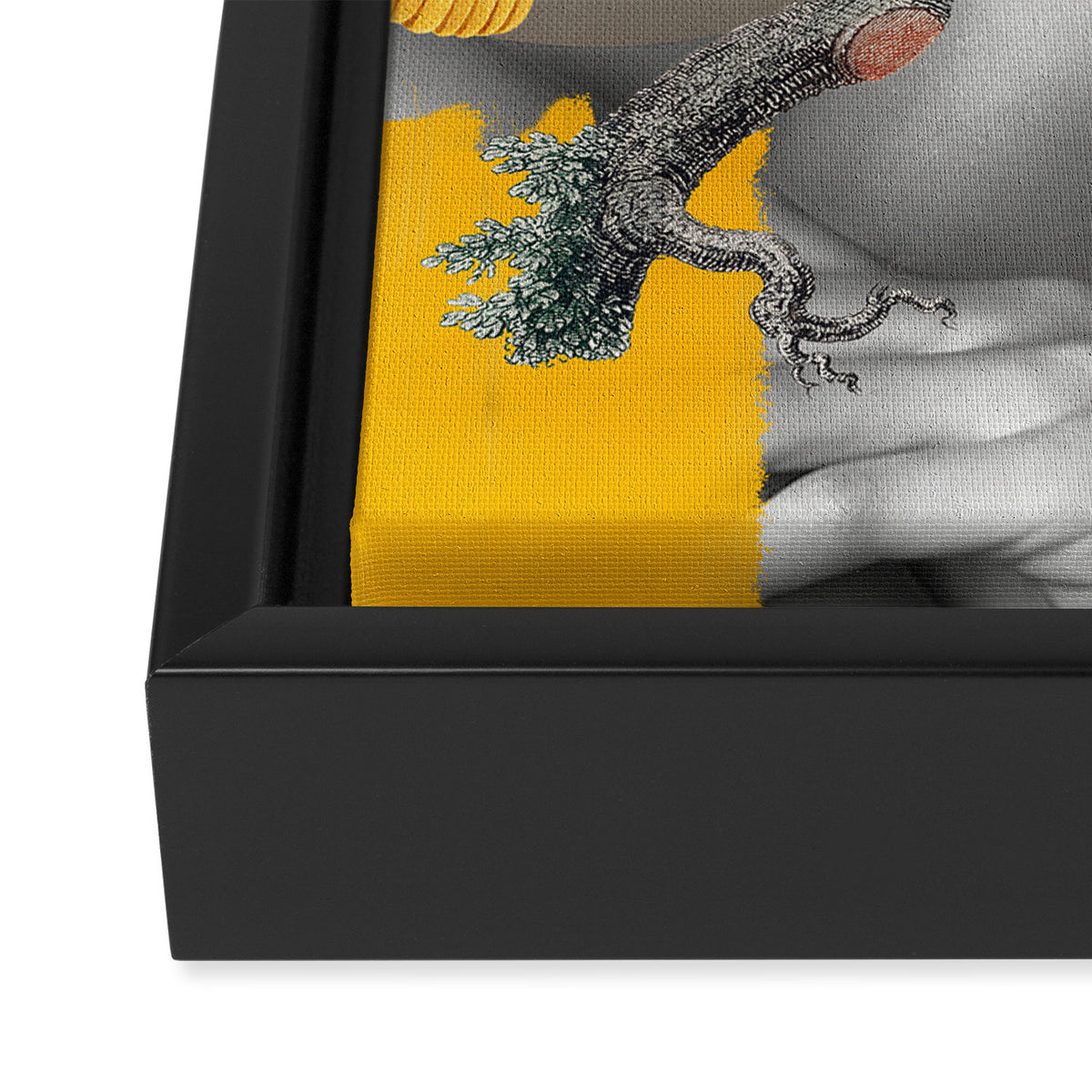 Girl with Parrots Framed Canvas Print Gallery Image 3