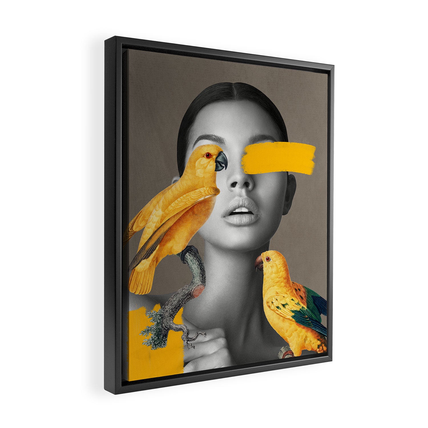 Girl with Parrots Framed Canvas Print Gallery Image 2