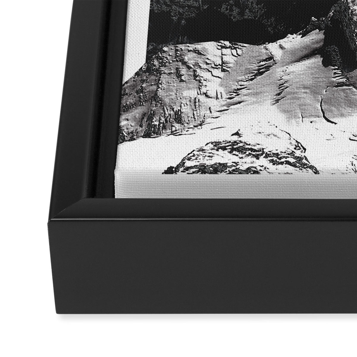 golden moon Framed Canvas Print Gallery Image 3