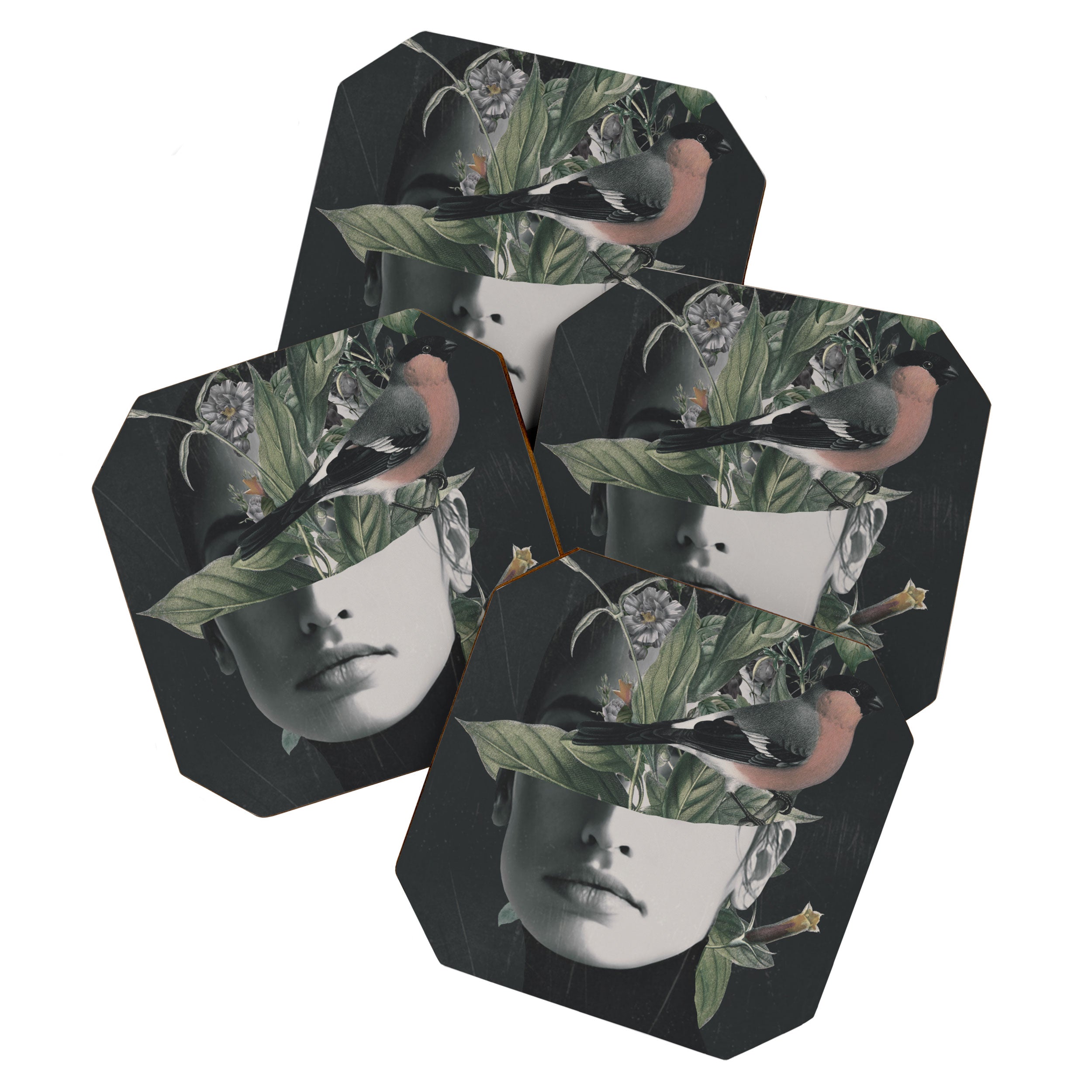 inner garden 11 Coaster Gallery Image 1
