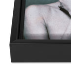inner garden 3 Framed Canvas Print Gallery Image 3