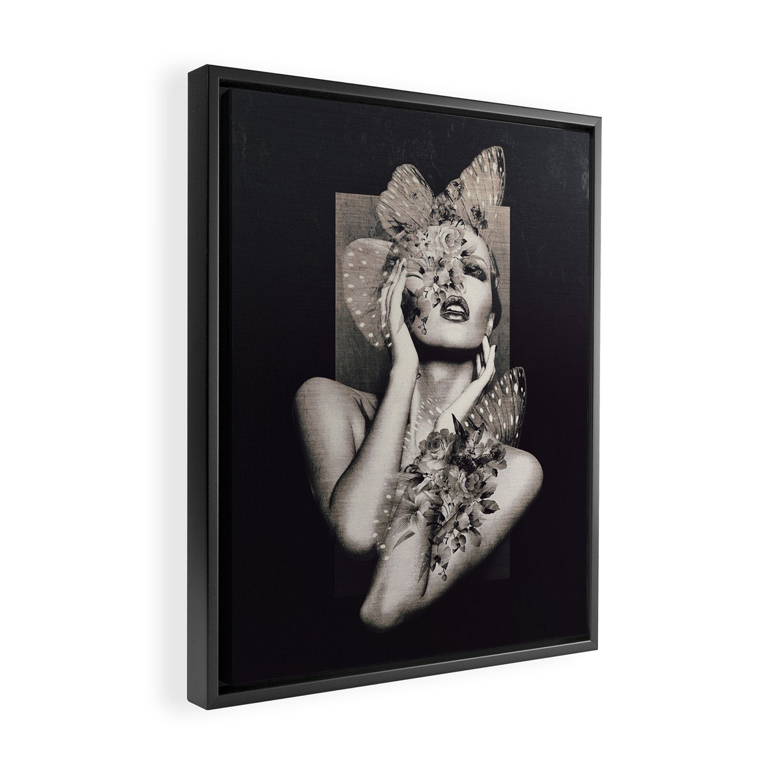 Lady Butterfly Framed Canvas Print Gallery Image 2