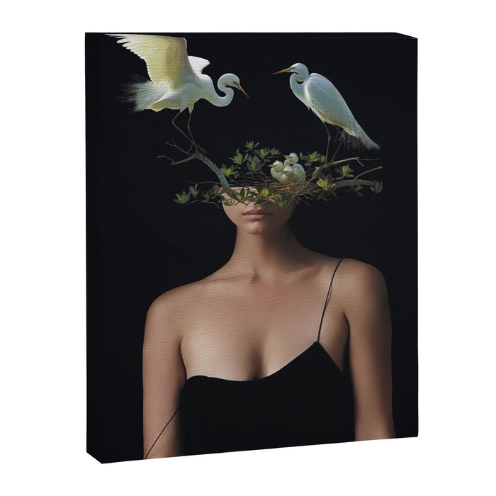 Lady with Birds 3 Canvas Print Gallery Image 1