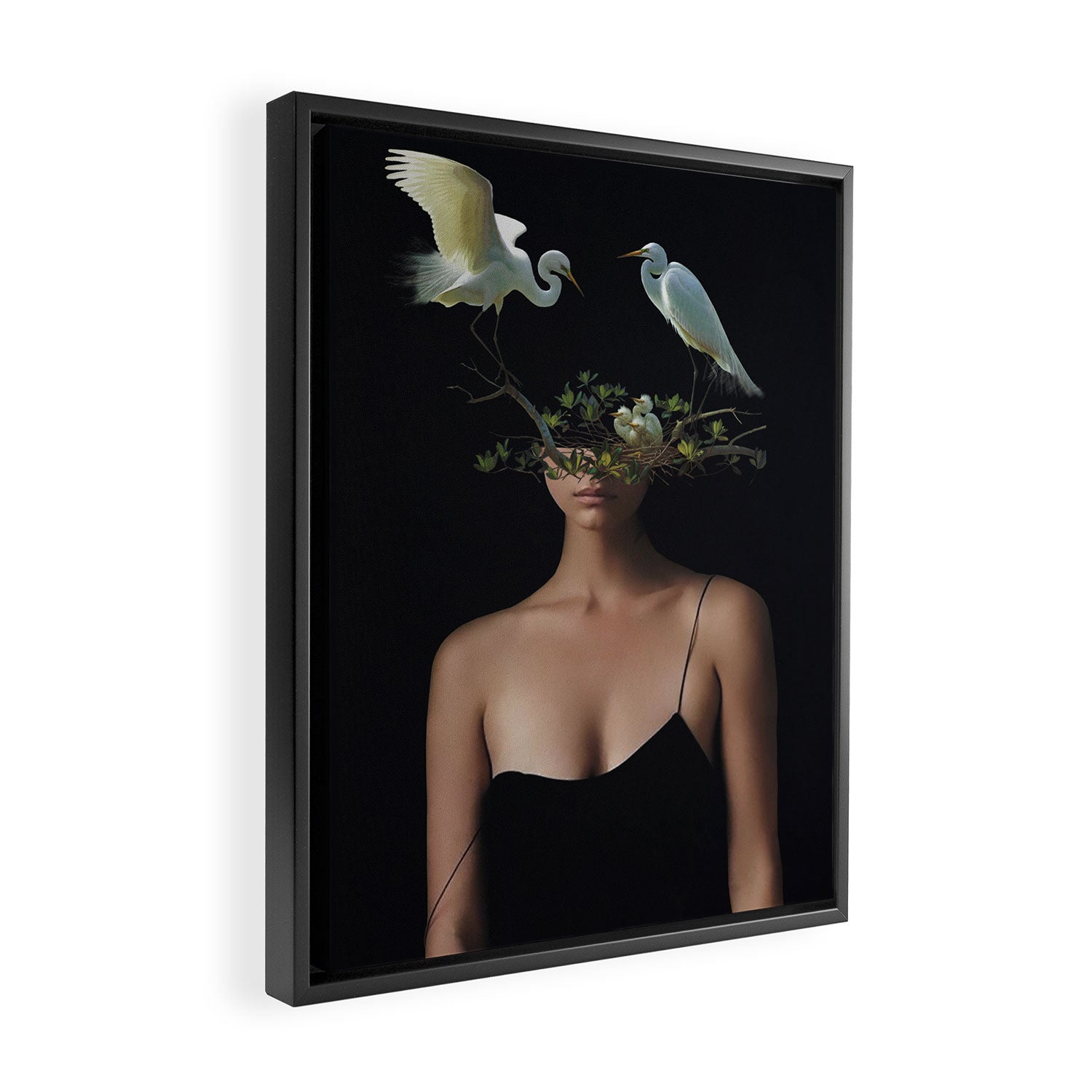 Lady with Birds 3 Framed Canvas Print Gallery Image 2