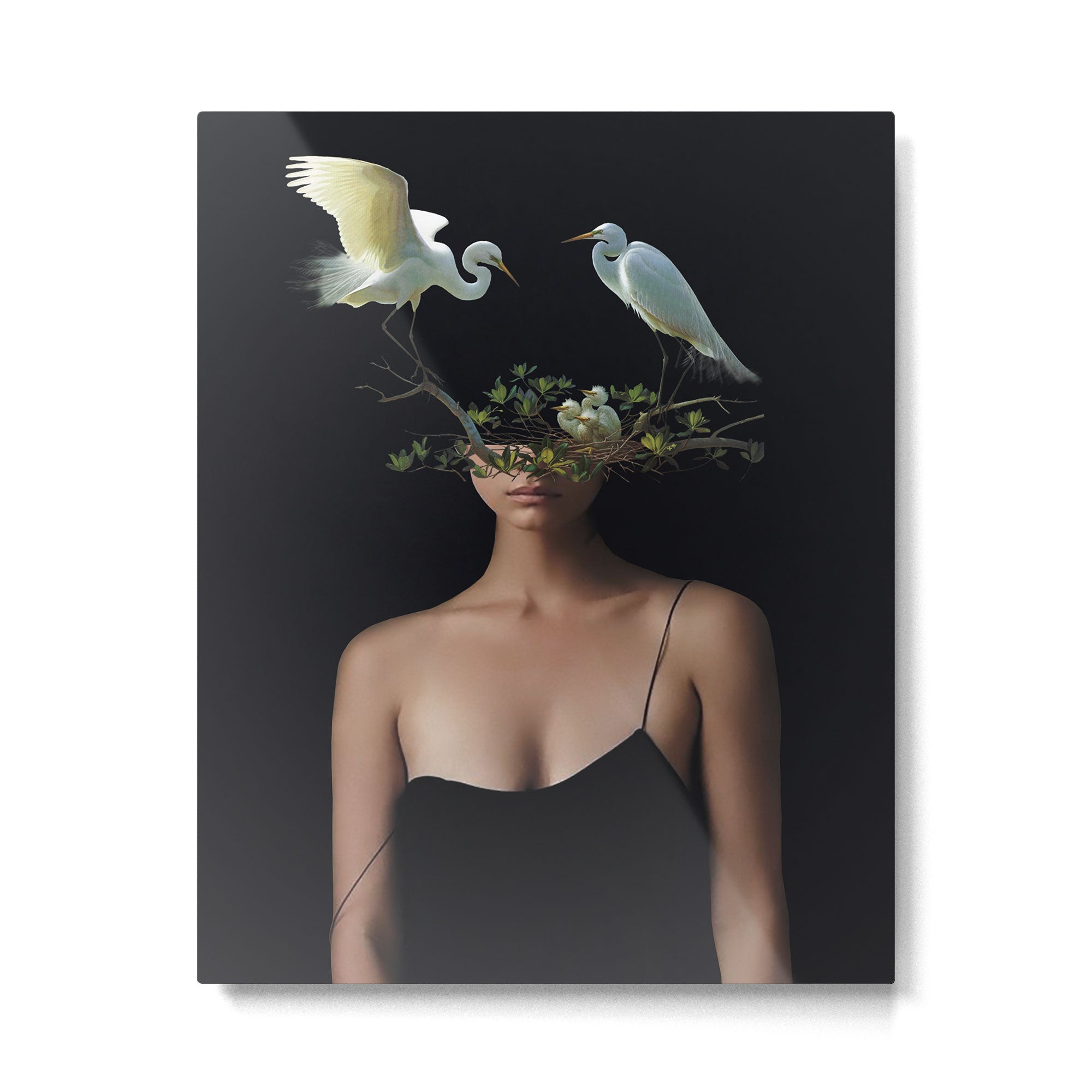 Lady with Birds 3 Metal Print Gallery Image 4