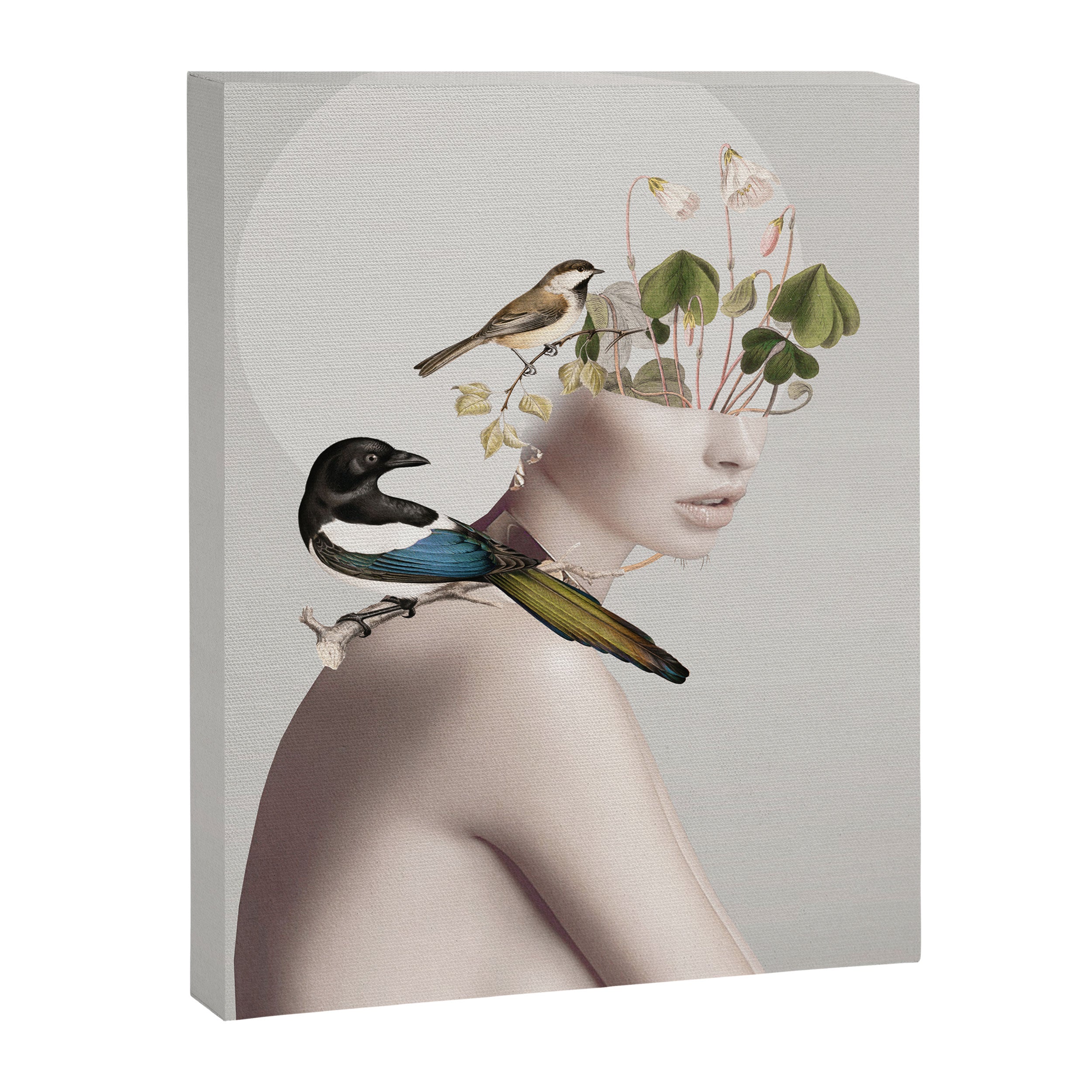 Lady with Birds 5 Canvas Print Gallery Image 6