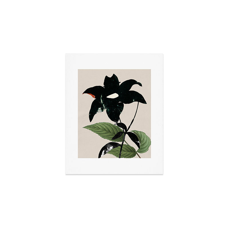 minimal collage/ Flower  Art Print Gallery Image 1